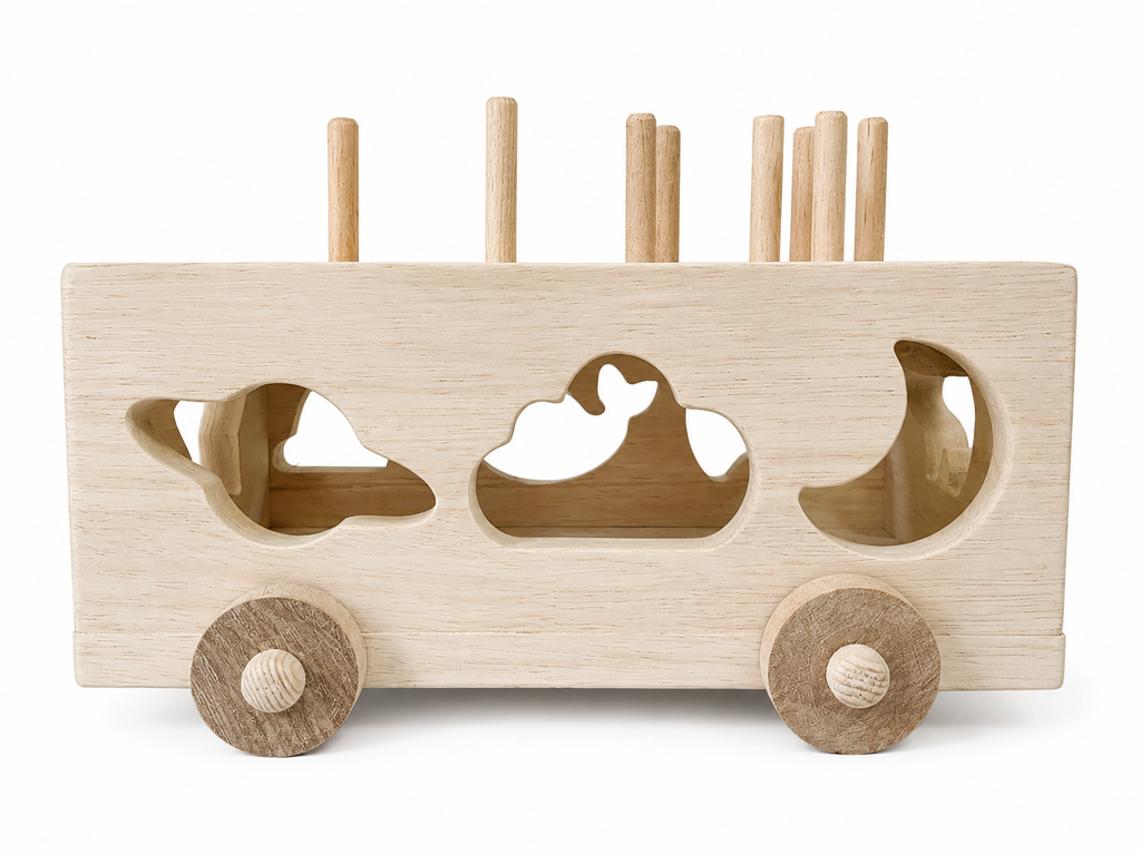 Shape Sorter Toy