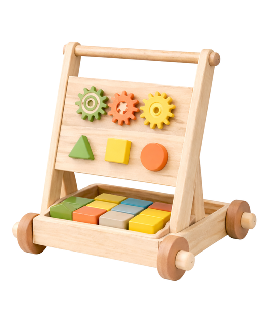 Push Walker with Activity Center