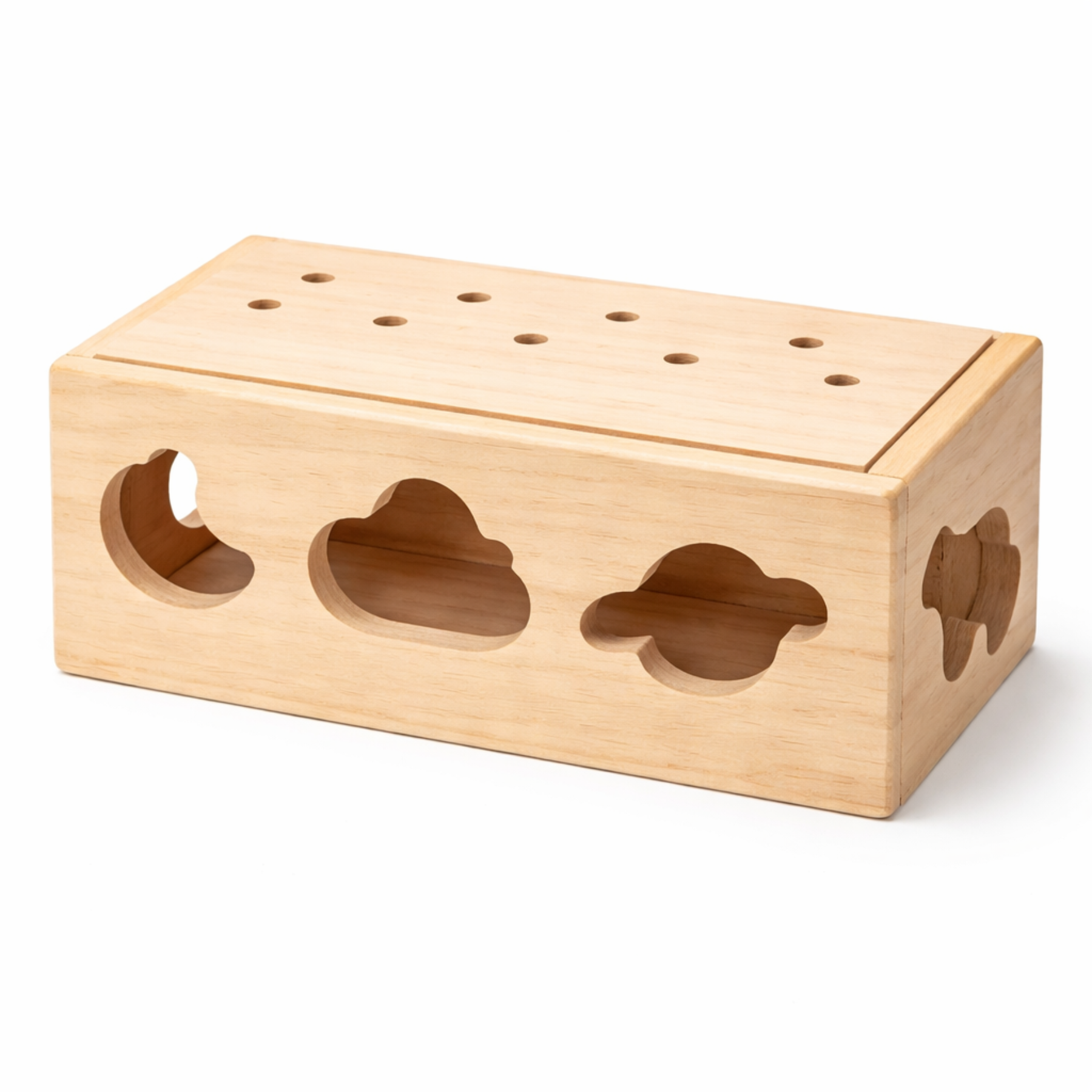 Shape Sorter Toy