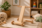 Push Walker